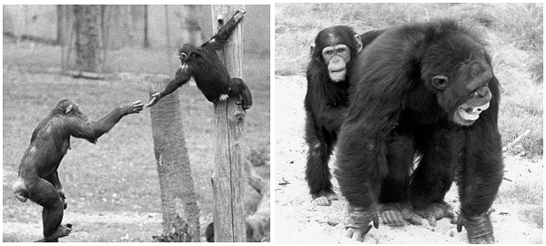 hth官网入口|
50条工程“数字简语”