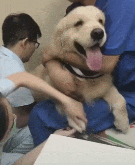 hth官网入口_
搞笑GIF段子：漂亮的烟花 带着扑灭的气息 (图5)