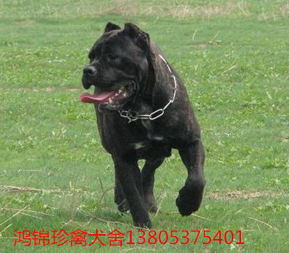 王列军:坚持就业优先战略 保持就业稳定【华体会体育hth官方网站】(图2) hth官网入口