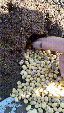 搞笑GIF段子:7 这要怎么解释?‘华体会体育hth官方网站’(图5)
搞笑GIF段子:7 这要怎么解释?‘华体会体育hth官方网站’(图5)