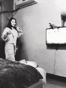 搞笑GIF段子:7 这要怎么解释?‘华体会体育hth官方网站’(图7)
搞笑GIF段子:7 这要怎么解释?‘华体会体育hth官方网站’(图7)