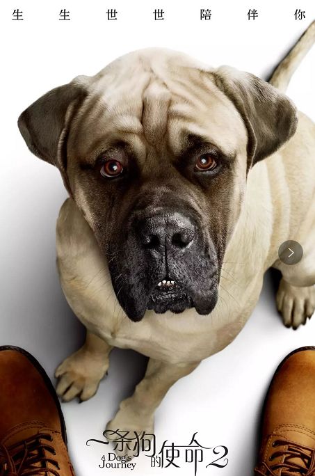 hth官网入口_
王佳喜代表团体公司与省移动公司举行谈判(图2) 华体会体育hth官方网站