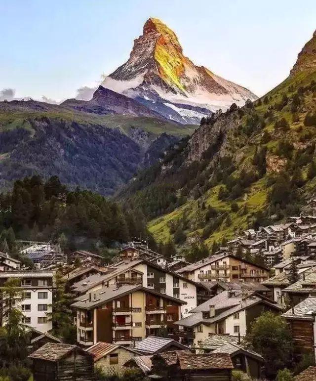 华体会体育hth官方网站