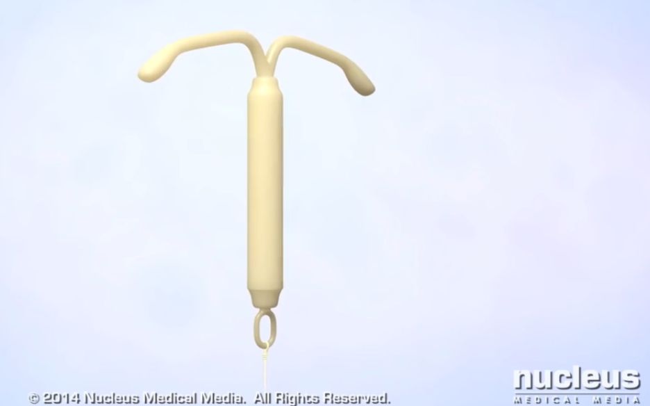 《妄想山海》家园共建是什么意思“华体会体育hth官方网站”(图4) hth官网入口