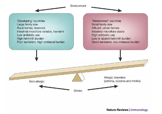 二种错误的家庭教育模式“hth官网入口”(图3) hth官网入口
