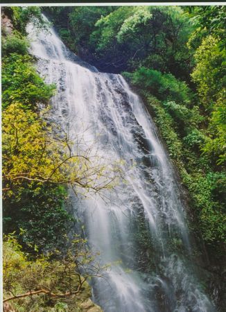 
嘉兴市被认定为首批省级服务外包示范都会_华体会体育hth官方网站