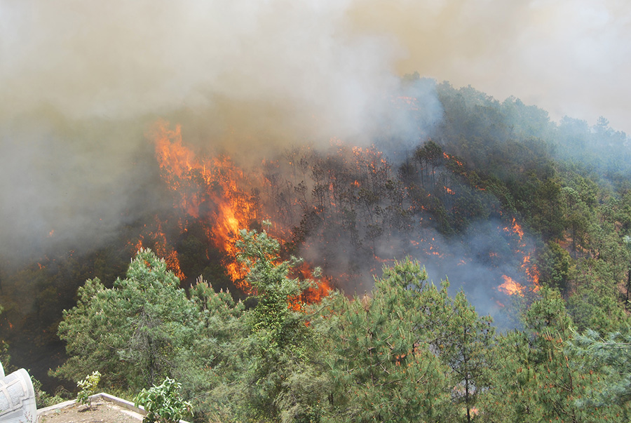 华体会体育hth官方网站