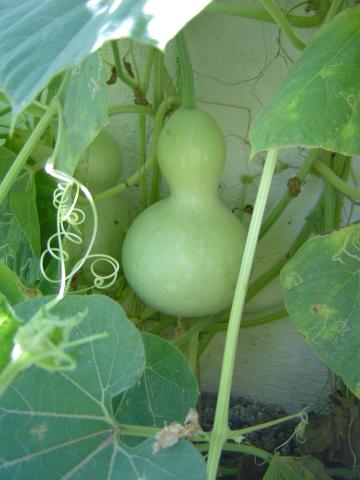 华体会体育hth官方网站