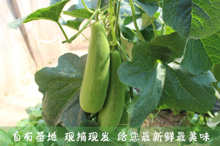 2010年首都师范大学招生章程报考,大学招生简章【hth官网入口】