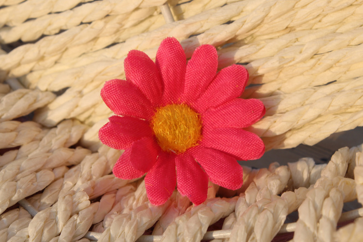 濮阳市教育局办公室关于印发濮阳市幼儿园“小学化”专项治理行动方案的通知【华体会体育hth官方网站】