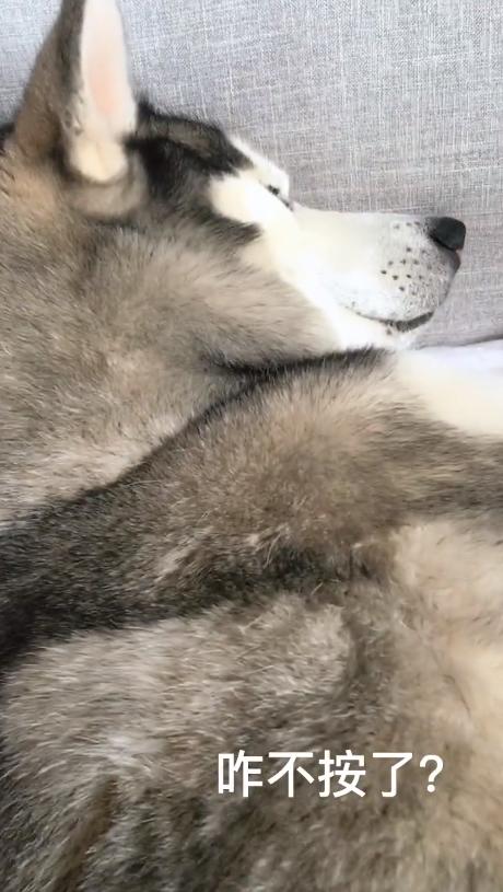 华体会体育hth官方网站：老师也可以监督你玩游戏了！腾讯“星星守护”正式上线