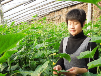 华体会体育hth官方网站