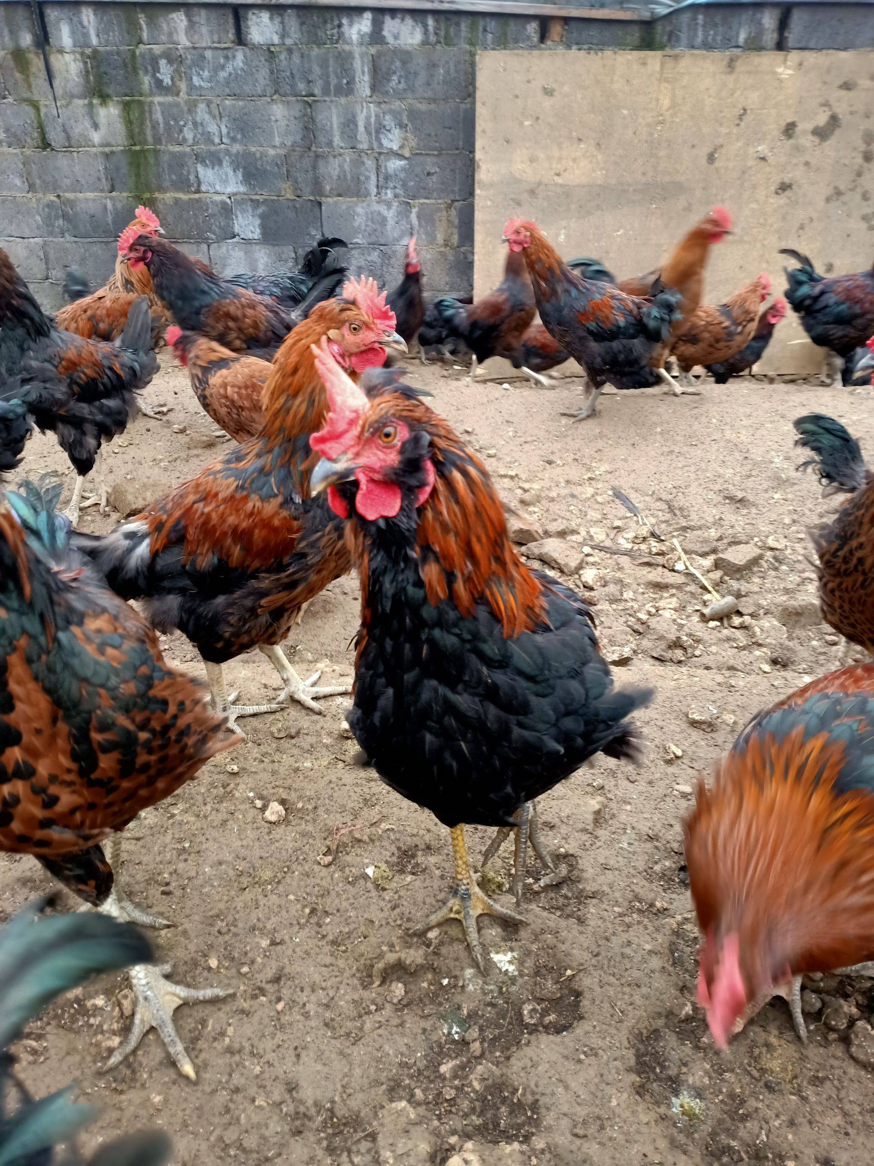 
社保卡密码忘了怎么办？_hth官网入口