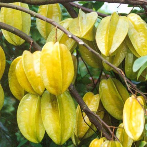 
英文版铁路12306出炉！ 外国搭客也能轻松网购火车票啦_华体会体育hth官方网站