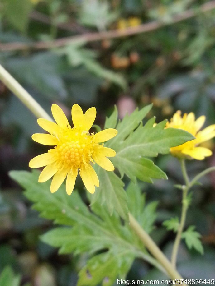 华体会体育hth官方网站