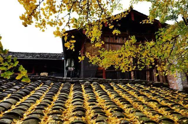 “hth官网入口”仙侠世界吞星成神 爽战MMO手游《吞星》今日全平台上线