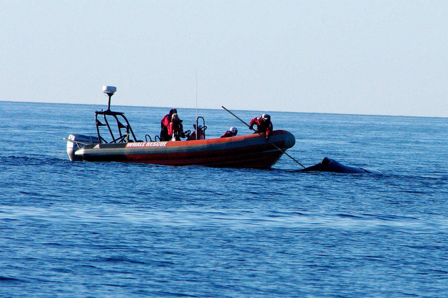 hth官网入口-方兴小学举行2018经典诵读比赛暨读书月展示活动