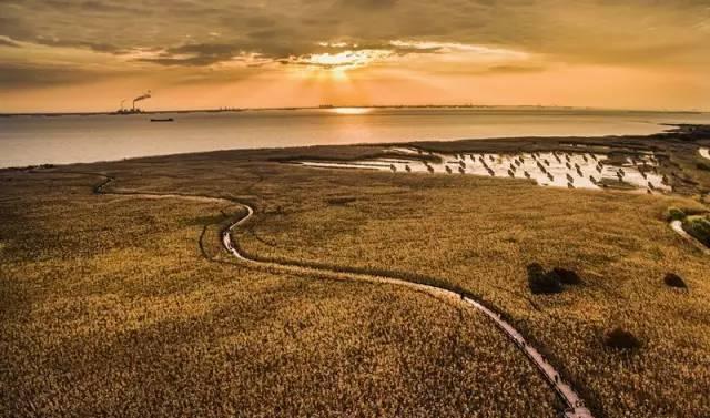 西安路小学“家长学校”举行第十一期培训会【hth官网入口】