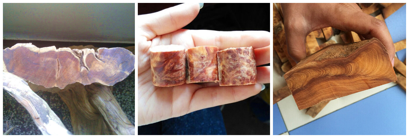 华体会体育hth官方网站-「快爆小百科」- 轻小说(图3) 华体会体育hth官方网站