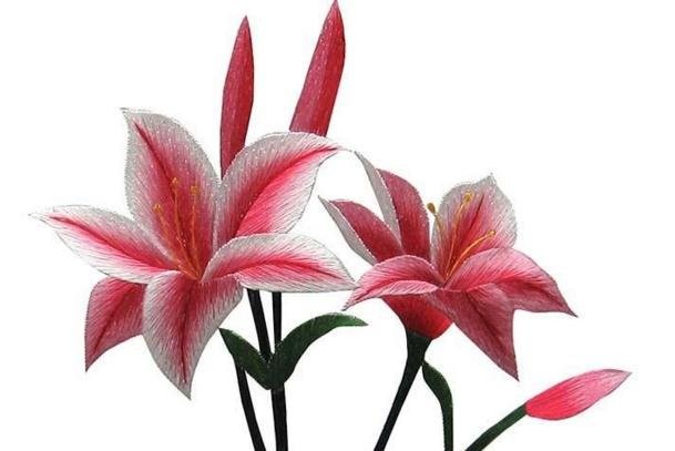 共进交流共促成长——绿东幼儿园迎接洛阳市幼教同行参观学习“华体会体育hth官方网站”(图2) hth官网入口