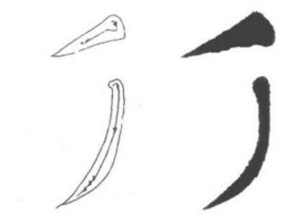 【hth官网入口】书法入门:楷书基本笔画书写(图10)