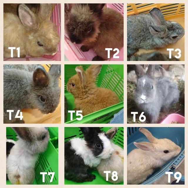 【hth官网入口】书法入门:楷书基本笔画书写(图11) 华体会体育hth官方网站