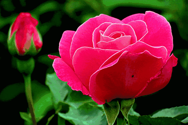 hth官网入口_中国拒收的洋垃圾销往哪些国家?我国再生资源回收企业迎来新契机(图1) hth官网入口