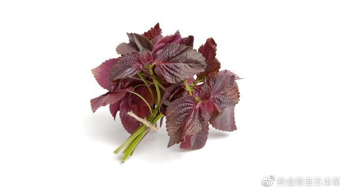 华体会体育hth官方网站