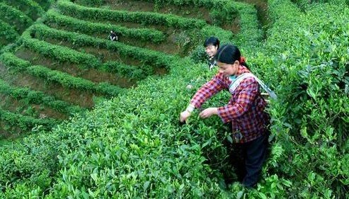 华体会体育hth官方网站