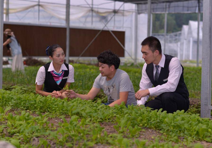 ‘hth官网入口’
【优秀企业推荐】陕西省农业服务公司优秀企业推荐公示(图2)