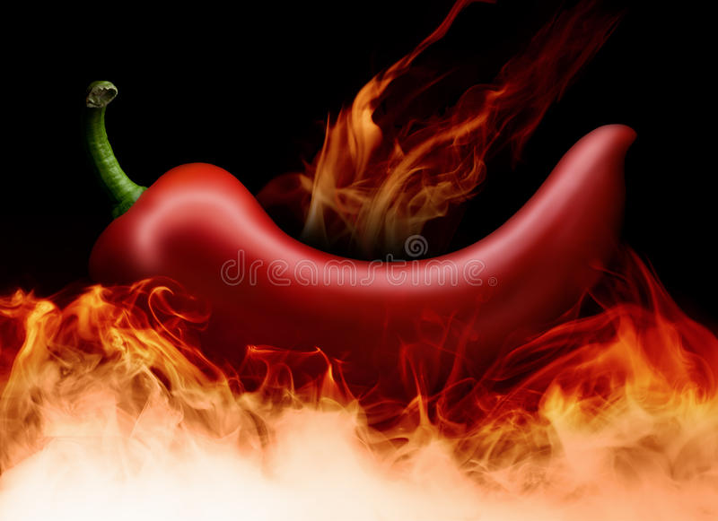 经典热血动画改编手游《幽游白书 武术会》 7月26日首测“hth官网入口”