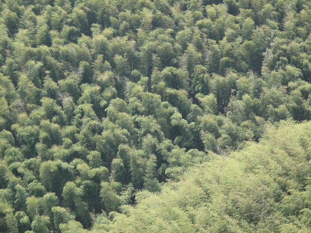 ‘hth官网入口’
青岛公布普通住宅物业服务品级尺度 你家小区能划分几级？