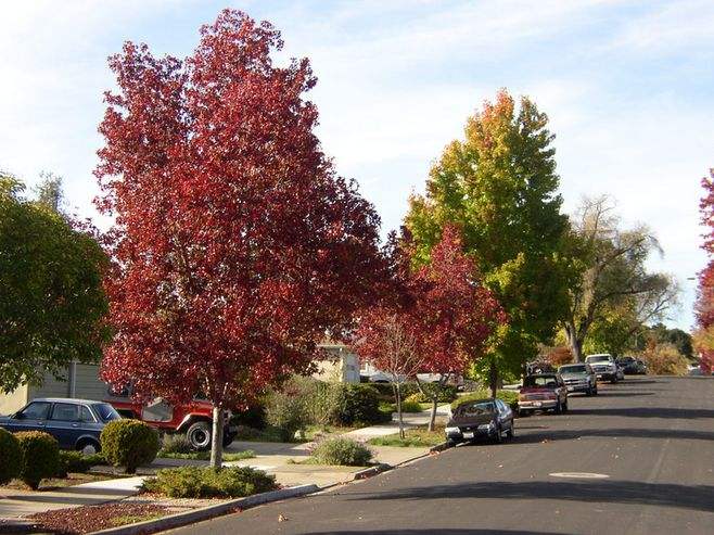 华体会体育hth官方网站|江苏幼儿园收费项目细化 乱收费现象严重