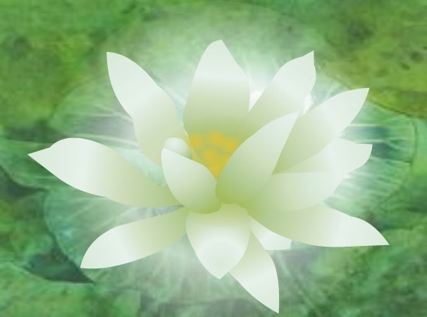 hth官网入口-网络催生新职业 青年择业路更宽