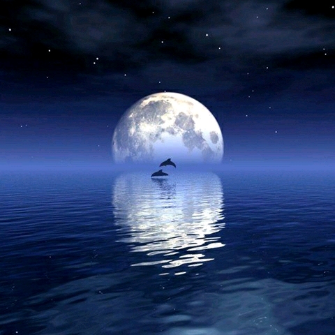 hth官网入口|这款不到82M的站桩射击类街机游戏，竟这么虐