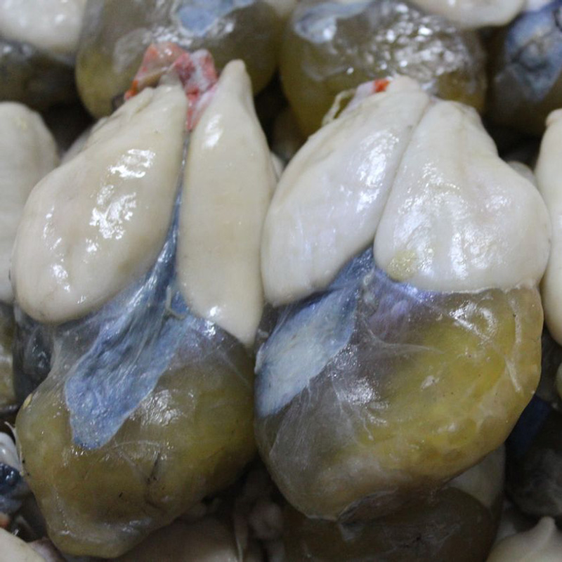 
够特别！营业厅还可以这样！_hth官网入口