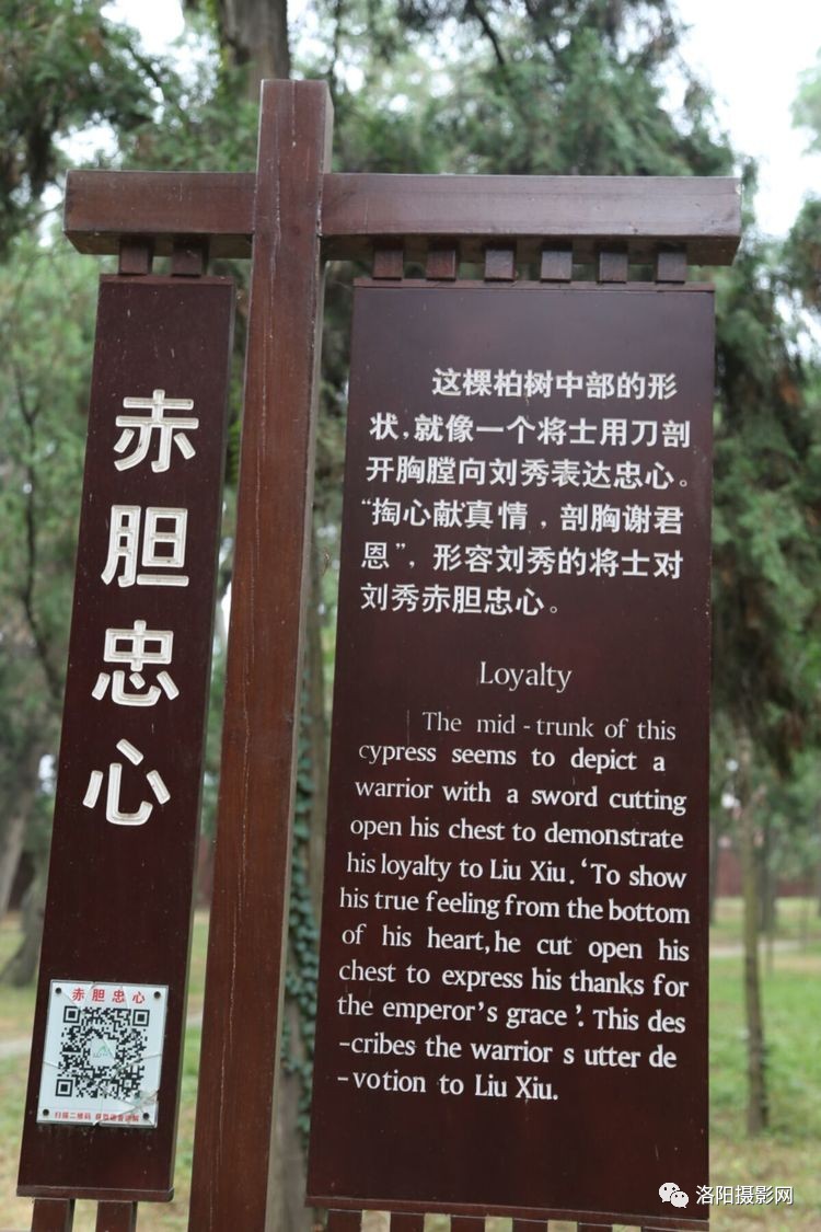 比特币跌破11000后回涨3000美元,投资者只关心能否交易|hth官网入口(图3) 华体会体育hth官方网站