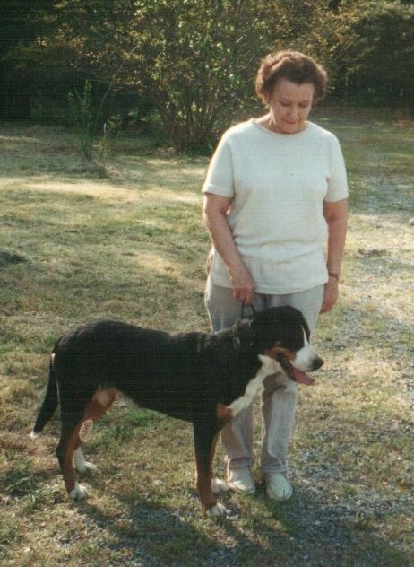 【华体会体育hth官方网站】《时逆:今天也在被迫拯救世界》上演一番人类的逆袭!(图2) hth官网入口