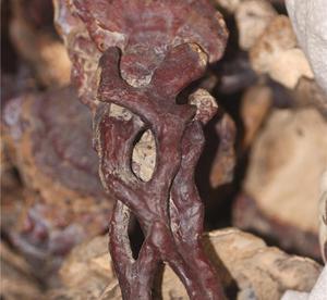 经典三国漫《火凤燎原》动画化将在B站播放_华体会体育hth官方网站