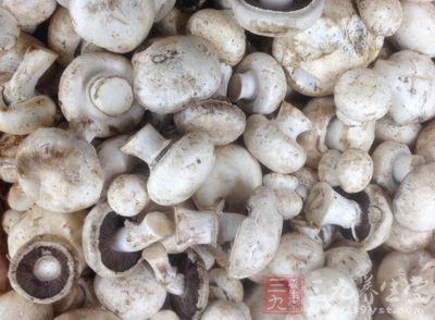 ‘hth官网入口’面对传统OTA寡头竞赛中国旅游行业自由行能否率先突围