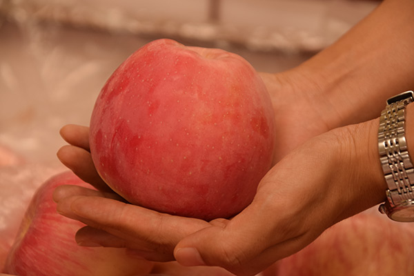 华体会体育hth官方网站_广州教育局:公办幼儿园成本家长担49% 幼教收入不如环卫工